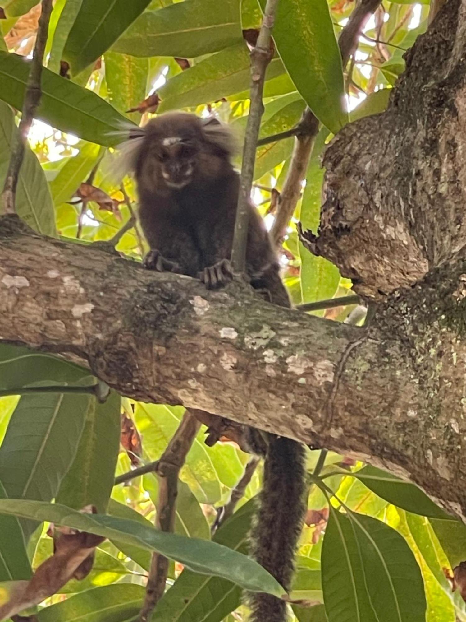 Apartmán Casa Jasmim Imbassai-Ba Mata de Sao Joao Exteriér fotografie