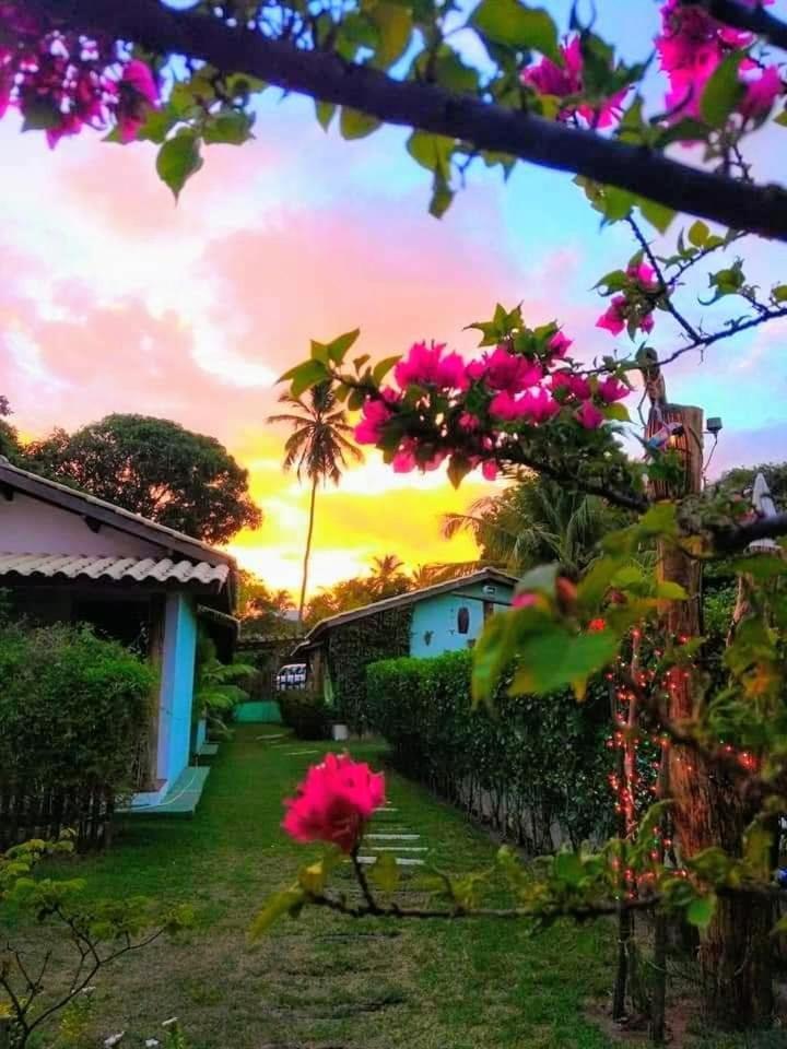 Apartmán Casa Jasmim Imbassai-Ba Mata de Sao Joao Exteriér fotografie